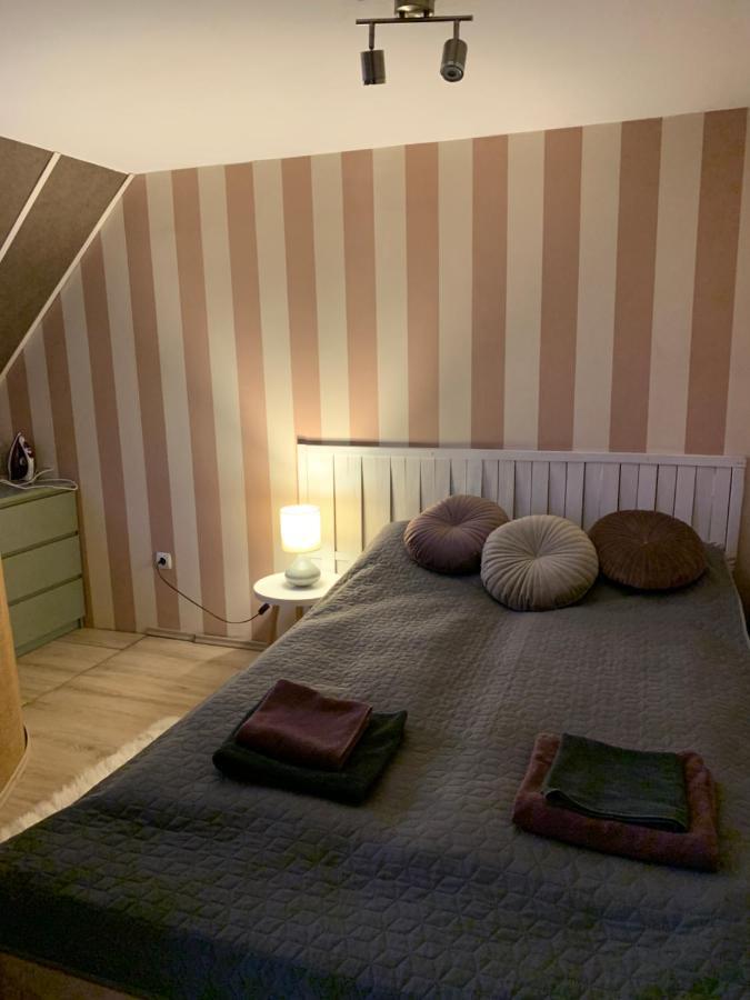Lovely Penthouse With An Indoor Fireplace ソフィア エクステリア 写真